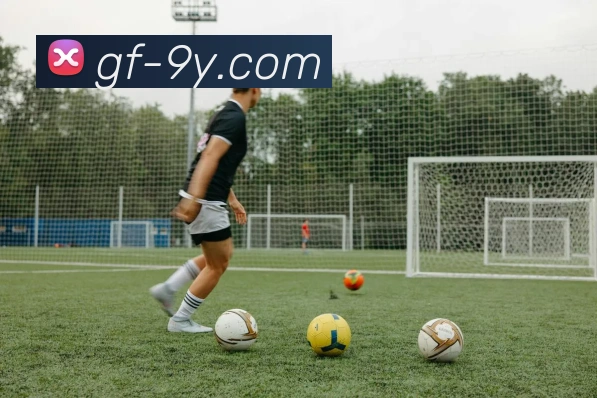 九游官网APP 封面图